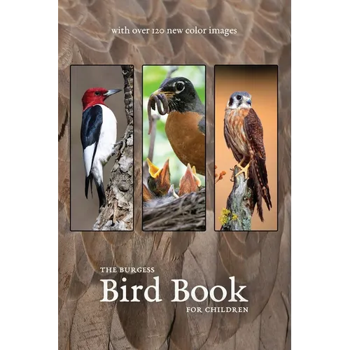 The Burgess Bird Book with new color images