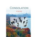 Consolation; Poems