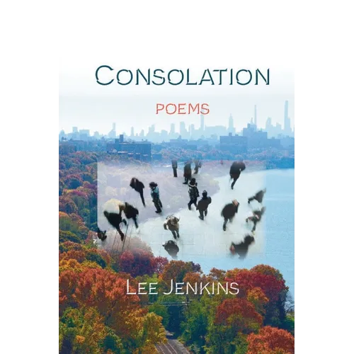 Consolation; Poems