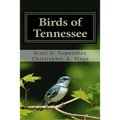 Birds of Tennessee: A New Annotated Checklist