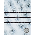 Sycamore: Poems