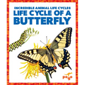 Life Cycle of a Butterfly
