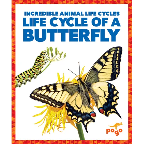 Life Cycle of a Butterfly