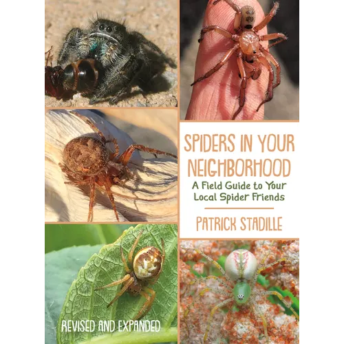 Spiders in Your Neighborhood: A Field Guide to Your Local Spider Friends, Revised and Expanded