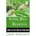 Stink Bug Removal: How to Get Rid of Stink Bugs