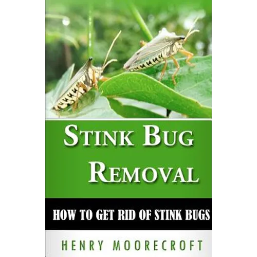 Stink Bug Removal: How to Get Rid of Stink Bugs