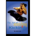 The Art of Stretching and Kicking