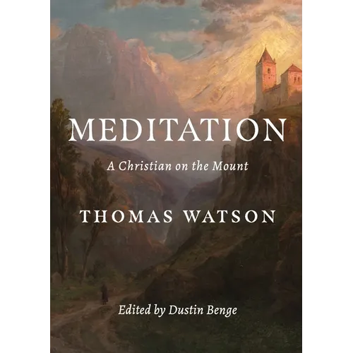Meditation: A Christian on the Mount
