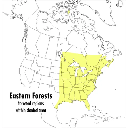 A Peterson Field Guide to Eastern Forests: North America