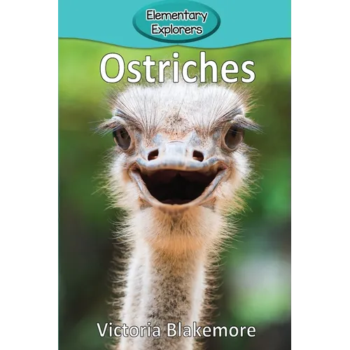 Ostriches