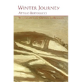 Winter Journey