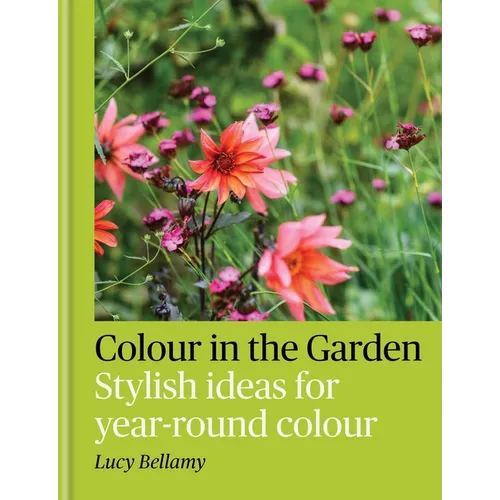 Colour in the Garden: Stylish Ideas for Year-Round Colour