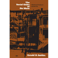 The Social Order of the Slum: Ethnicity and Territory in the Inner City