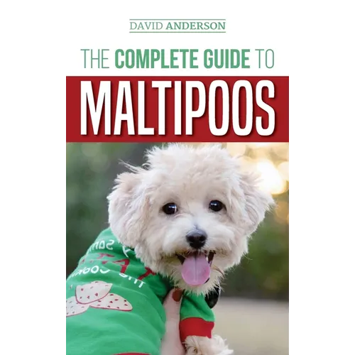 The Complete Guide to Maltipoos: Everything you need to know before getting your Maltipoo dog