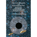 Black Holes, White Holes, and Superluminal Starships