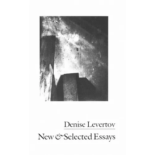 New & Selected Essays