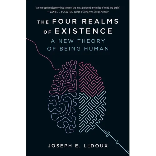 The Four Realms of Existence: A New Theory of Being Human