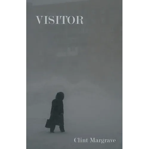 Visitor