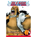 Bleach, Vol. 41: Heart