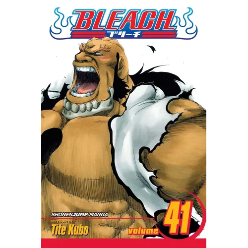 Bleach, Vol. 41: Heart