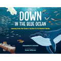 Down in the Blue Ocean: Journey from the Ocean's Surface to Its Deepest Depths