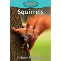 Squirrels
