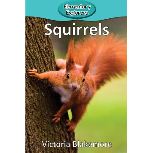 Squirrels