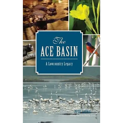 The: Ace Basin: A Lowcountry Legacy