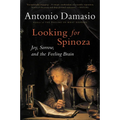 Looking for Spinoza: Joy, Sorrow, and the Feeling Brain