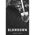 Blowdown