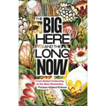 The Big Here and the Long Now: From Global Uniformity to the New Diversities