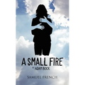 A Small Fire