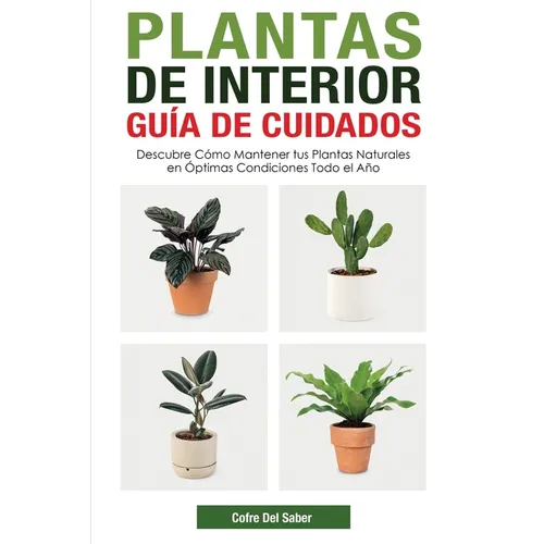Plantas de Interior - Guía de Cuidados: Descubre Cómo Mantener tus Plantas Naturales en Óptimas Condiciones Todo el Año