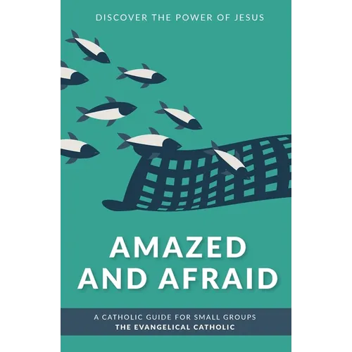 Amazed and Afraid: Discover the Power of Jesus