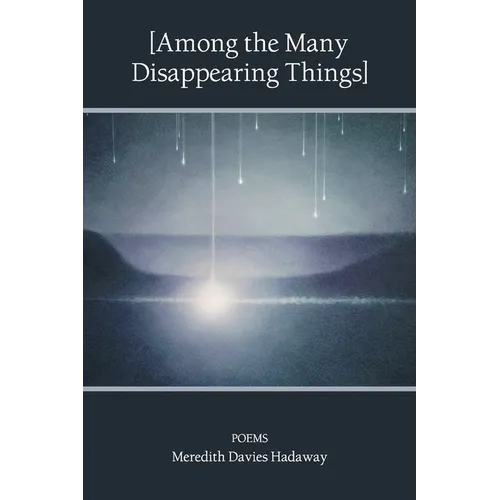 [Among the Many Disappearing Things]: Poems