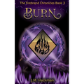 Burn: The Firebrand Chronicles Book 3