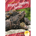 Alligator Snapping Turtles