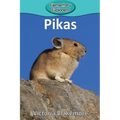 Pikas
