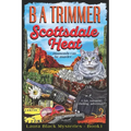 Scottsdale Heat: a fun, romantic, thrilling, adventure...