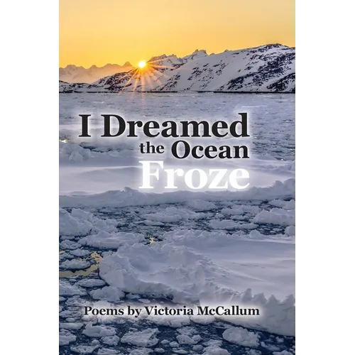 I Dreamed the Ocean Froze