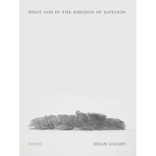 What God in the Kingdom of Bastards: Poems