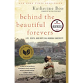 Behind the Beautiful Forevers