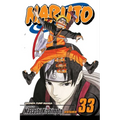 Naruto, Vol. 33: The Secret Mission