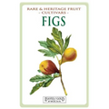 Figs: Rare and Heritage Fruit Cultivars #13