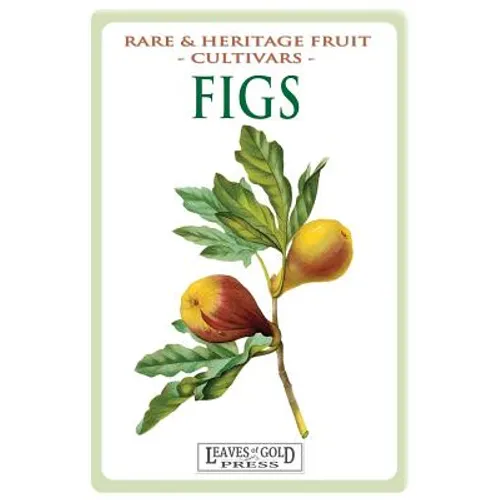 Figs: Rare and Heritage Fruit Cultivars #13
