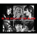 In the Belly of the Blues: Chicago to Boston to L.A. 1969 to 1983. A Memoir.
