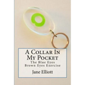A Collar In My Pocket: Blue Eyes/Brown Eyes Exercise