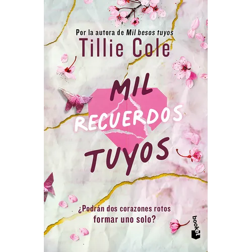 Mil Recuerdos Tuyos / A Thousand Broken Pieces