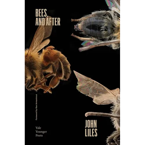 Bees, and After: Volume 119