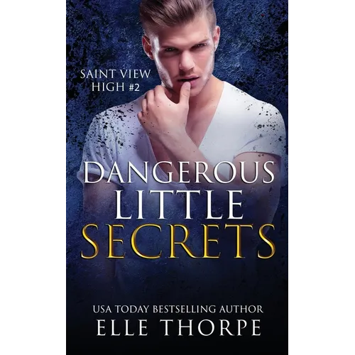 Dangerous Little Secrets: A Reverse Harem Bully Romance